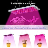 thumbnail of Lampara de cultivo con Luz LED de crecimiento, espectro completo con 98 LEDs, Hidropónicos VETS
