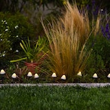 thumbnail of Lumisky 10 Champignons solaires connectés CHAMPY 3.8M Plastique Blanc