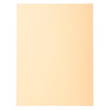 thumbnail of Exacompta 100er Packung Aktendeckeln aus Recycling Karton 220g Forever, 24x32cm