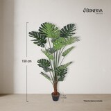 thumbnail of Bonerva | Monstera Deco 150 cm Altura | Planta artificial para decorar interiores: hogares, negocios y hoteles | Sin mantenimiento