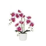 thumbnail of LIGNE DÉCO Orchidée artificielle blanc-fuchsia 50cm