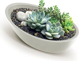 thumbnail of WellHome - Blumentopf aus Rotationsgeformtes Polyethylen 5L 40x20x16cm in farbe Graphit - Aria Oval
