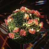 thumbnail of LED Lichterkette  Dahlien Blüten Blumengirlande Timer L: 2,9m pink