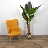 thumbnail of NATURN LIVING Zimmerpflanze Musa – ø 45 x 160 cm – Bananenpflanze aus Kunststoff – Kunstpflanze – Allergikerfreundliche Pflanze – Grün