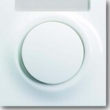 thumbnail of Busch-Jaeger Zentralscheibe aws 1781-74 2CKA001753A4849