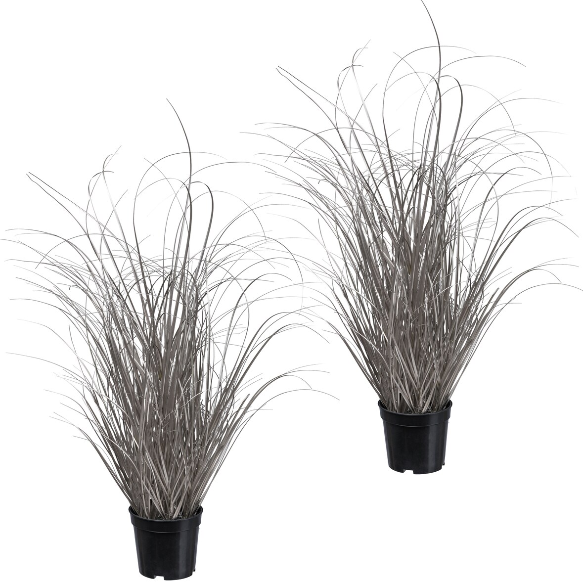 CREATIV green künstliche Pflanze Künstliches Gras im Topf, 73 cm, champagner, 2er Set
