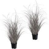 thumbnail of CREATIV green künstliche Pflanze Künstliches Gras im Topf, 73 cm, champagner, 2er Set