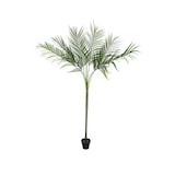 thumbnail of EUROPALMS Areca deluxe, Kunstpflanze, 180cm