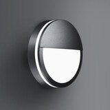 thumbnail of Brumberg Leuchten LED-Wandanbauleuchte 230V 10137183