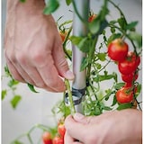 thumbnail of Gusta Garden Tom Tomato Draußen Topfpflanzer Freistehend Aluminium, Polypropylen (PP) Grau