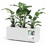 thumbnail of EURO3PLAST GREENER KEBE box 100 cm wit 315403