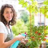 thumbnail of Relaxdays Rankhilfe 6er Set, Metall & Kunststoff, 76 cm hoch, 3 verstellbare Ringe, Rankstütze Kletterpflanzen, orange