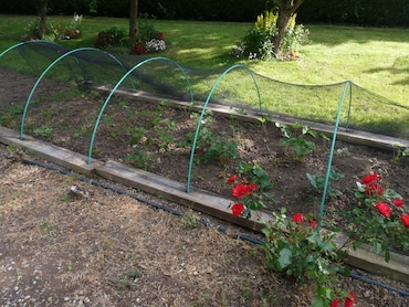 Arco en PVC ARCO PVC 300CM VERDE | Makro