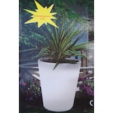 thumbnail of Solar Led Pflanzkübel Topf Blumentopf 28cm Kübel Pflanzentopf leuchtend Blume Weiß 28