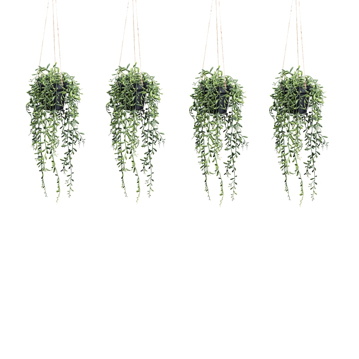 CREATIV green künstliche Pflanze Senecio herreianus Hängeampel ca 55cm, 4er Set