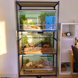 thumbnail of SimonRack Schwerlastregal 1500x1000x400 mm, 4 Ebenen, Holzböden, 150 kg Tragkraft pro Ebene, Anthrazit - Maderclick