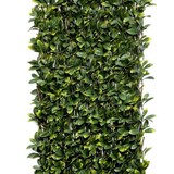 thumbnail of Celosia Extensible de Mimbre -  Hoja Sauce -