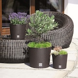 thumbnail of 2 x Blumentopf Blumenkübel Pflanzentopf Pflanzkübel Blumenkübel Rattan groß 2 x Ø 20 cm