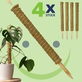 thumbnail of Erweiterbare Pflanzenstütze mit Kokosfilz – Rankhilfe 60 cm