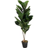 thumbnail of NATURN LIVING Planta de Caucho Plástico - ø 14 x 98 cm - Ficus Elastica - Árbol de caucho artificial - Planta sin mantenimiento - Verde