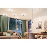 thumbnail of Paulmann Modern Classic Edition Standaard 230 V LED Globe Kopspiegel E27 G125   600lm 6,5W 2700K dimbaar Kopspiegel goud 28678