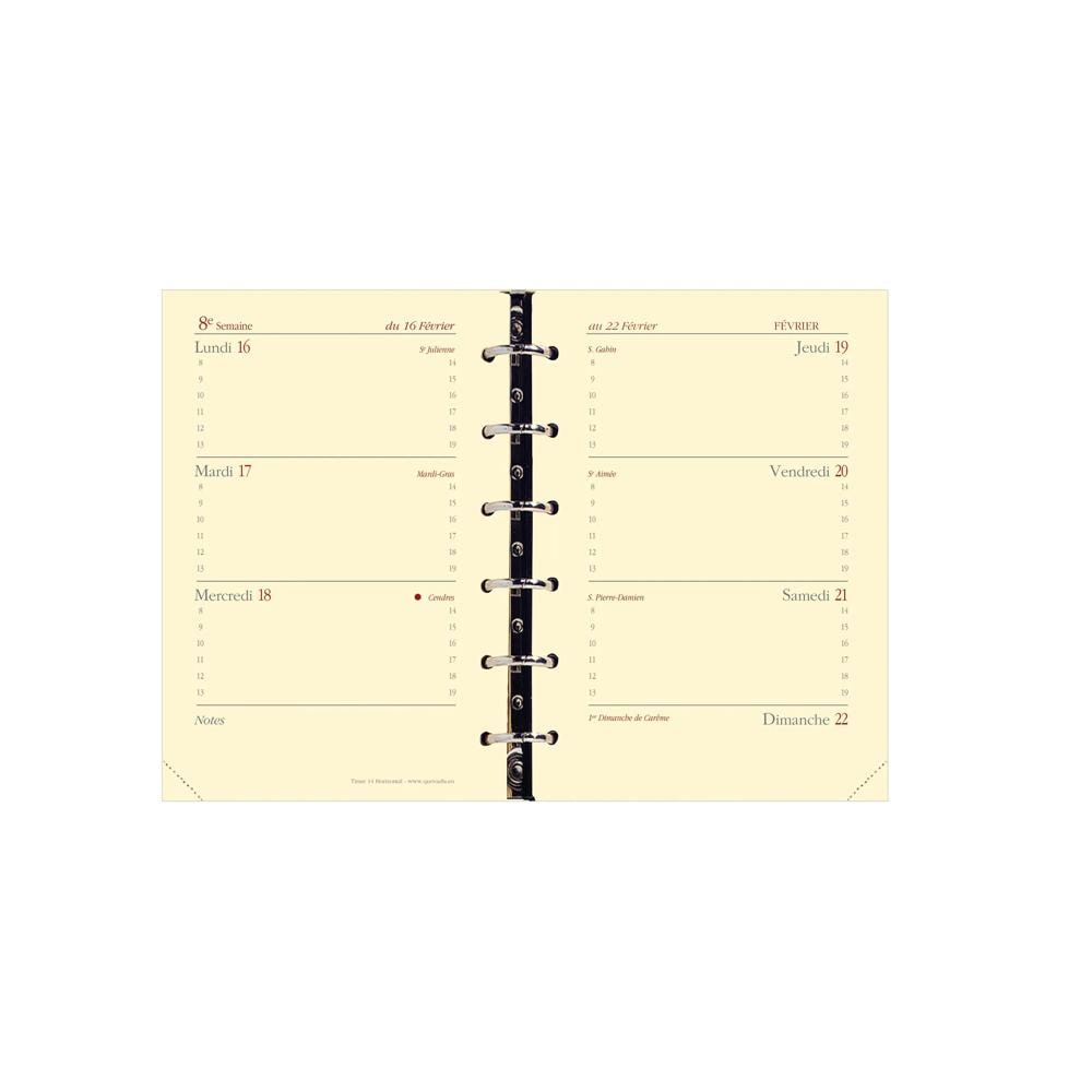 Quo Vadis - Recharge Organiseur - 2026-2027 - Timer 14 Horizontal Prestige - Français - 16 mois de septembre à décembre - 8x12,5 cm