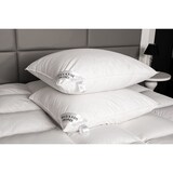 thumbnail of HS90 Kissen 80x80 1000 + 200 Gr. FEDERN + DAUNEN  3-Kammer 1200 G