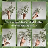 thumbnail of Layba Eucalipto Artificiale Verde Oliva 85 cm (3 pz) Serie Deco, Foglie Naturali, Steli Flessibili