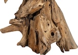 thumbnail of BISCOTTINI Skulptur in form eines pferdekopfes aus teakholz, das aus dem meer zurückgebracht wurde 37x90x96 cm