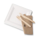 thumbnail of greenbox - Teller aus Zuckerrohr 20 x 20 cm, quadratisch, 50 St.