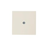 thumbnail of Berker Zentralstück ws/gl 10198982