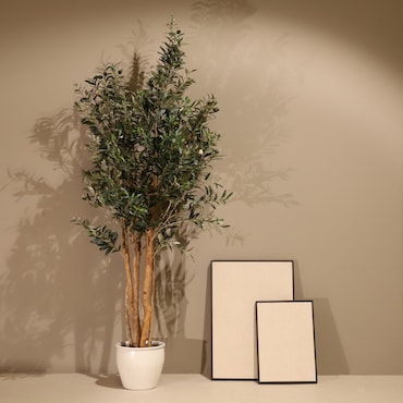 Planta artificial Olivo Rústico 180cm - Naturing Monde - Interior