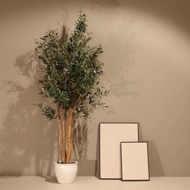 Planta artificial Olivo Rústico 180cm - Naturing Monde - Interior