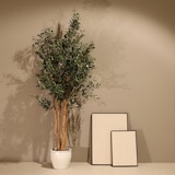 thumbnail of Planta artificial Olivo Rústico 180cm - Naturing Monde - Interior