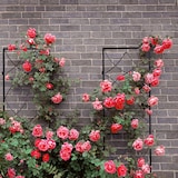 thumbnail of Relaxdays Rankgitter Metall, 3er Set, zum Stecken, Rankhilfe für Kletterpflanzen, 122 x 31 cm, Spalier Garten, schwarz