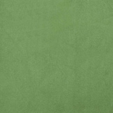 thumbnail of vidaXL Fauteuil fluweel lichtgroen