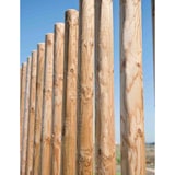 thumbnail of Tutor Madera Sin Punta 200X10