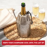 thumbnail of Vacu Vin, aktiver Champagner/ Cava kühler, platinfarben