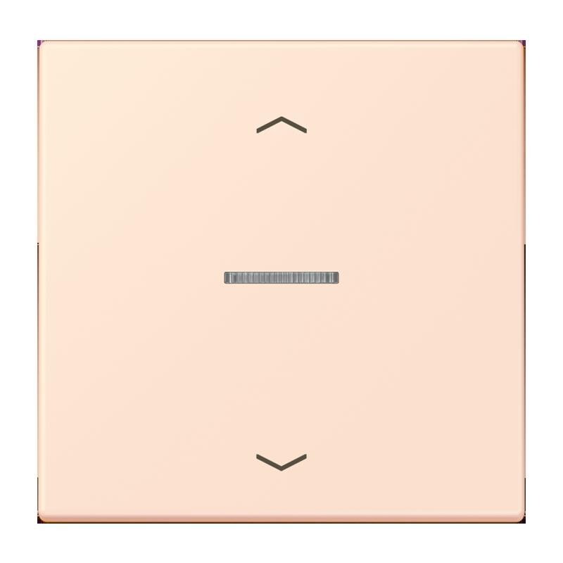 Jung Wippe mit Lichtleiter LC 101 KO5P 226 LC101KO5P226