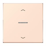 thumbnail of Jung Wippe mit Lichtleiter LC 101 KO5P 226 LC101KO5P226