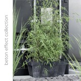 thumbnail of Prosperplast - Maceta CUBE BETON EFFECT 0,6L - 11x11x9,7cm en color Crema