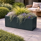 thumbnail of WellHome - Blumentopf aus Rotationsgeformtes Polyethylen 58L 80x38x36cm in farbe Graphit - Coro Case