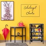 thumbnail of Coemo Schuhregal `Charlie` Standregal Schwarz Bücherregal Holz MDF LxTxH: 60x32x87 cm