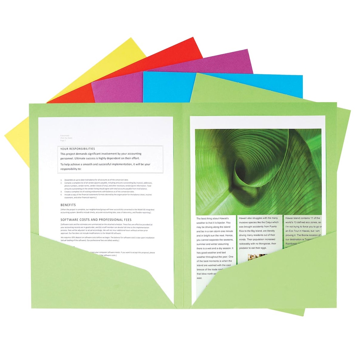 EXACOMPTA Paquet de 25 chemises de présentation double poche ROCK'S 250 en carte 210 grammes assortis