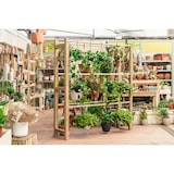 thumbnail of HORTALIA Expositor de madeira para plantas suspensas POTHUS