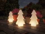 thumbnail of Paulmann Plug & Shine LED Lichtobjekt Tree   IP67 3000K 2W   Weiß 94185