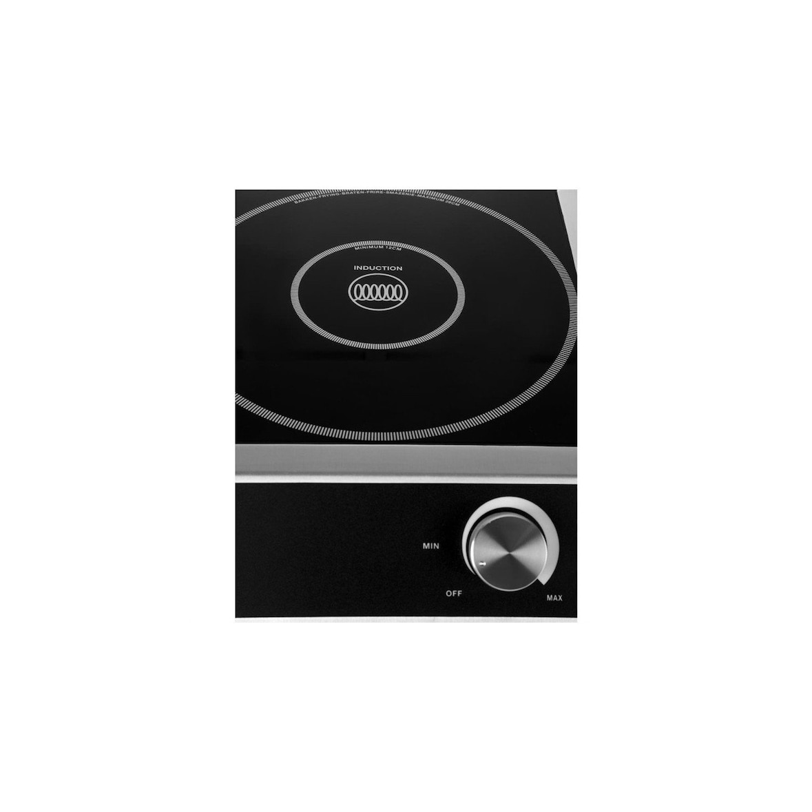 Cocina de inducción 3000W Buffalo CE208