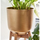 thumbnail of Blumentopf 2er Set Metall / Massivholz Pflanzkübel Gold mit Füßen, Design Pflanzenkübel Rund, Blumenkübel