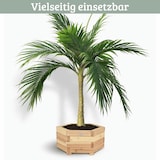 thumbnail of Pflanzkasten Holz 6-eckig MICHA - Inkl. Vlies und Handschuhe | Pflanzkübel Tannenholz Blumenkasten Blumenkübel Blumentopf Terrasse, 60cm Breit