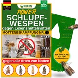 thumbnail of Schlupfwespen gegen Lebensmittelmotten: 3x Lieferungen zur Vollbehandlung / 12